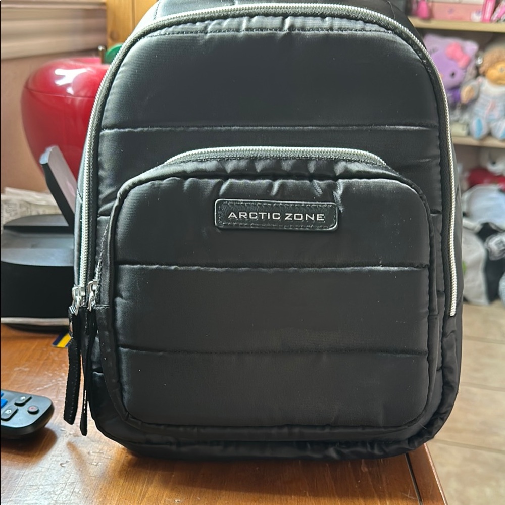 Arctic Zone Women’s Lunch Bag